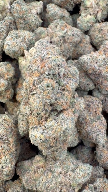 Rainbow Sherbet Indoor - Bulk - Indica