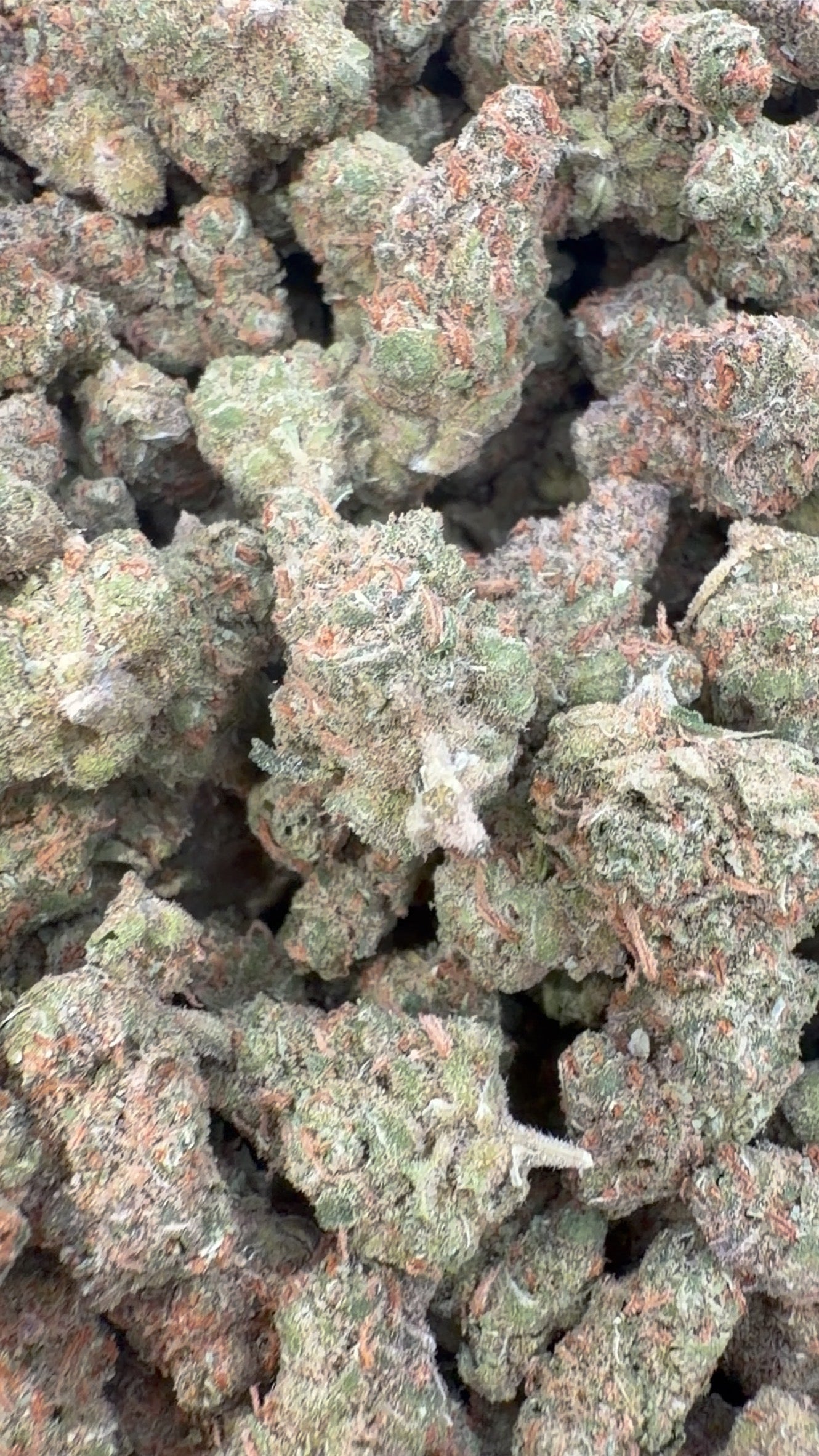 Super Lemon Haze Indoor Littles - Bulk Littles - Sativa