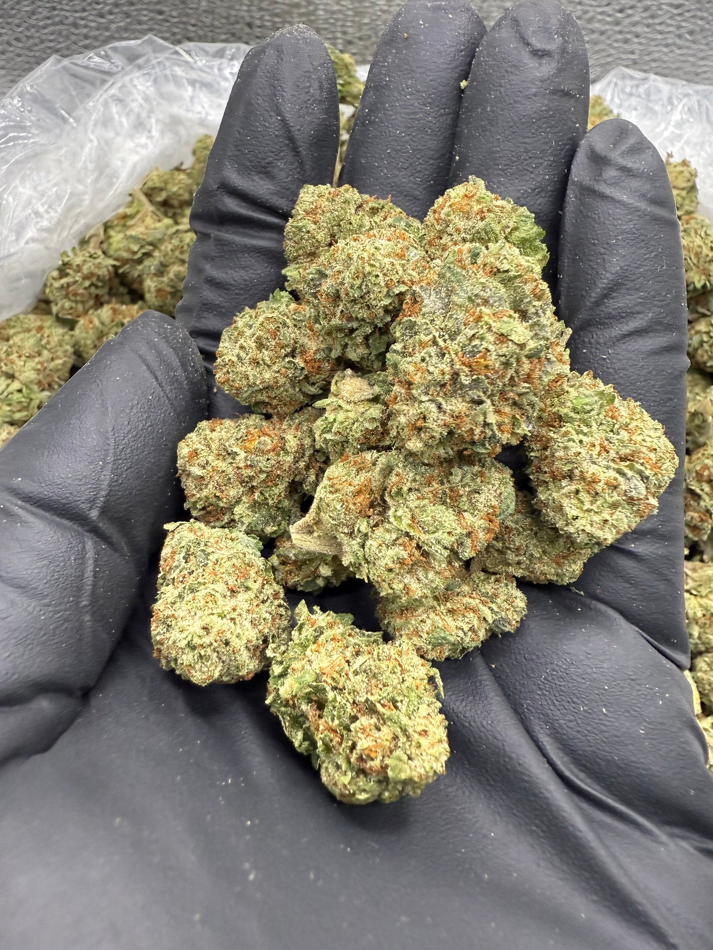 Sour Diesel - Bulk Mediums - Sativa