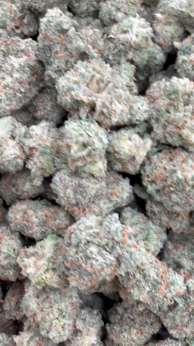 XJ 13 Indoor Mediums - Bulk Mediums- Sativa