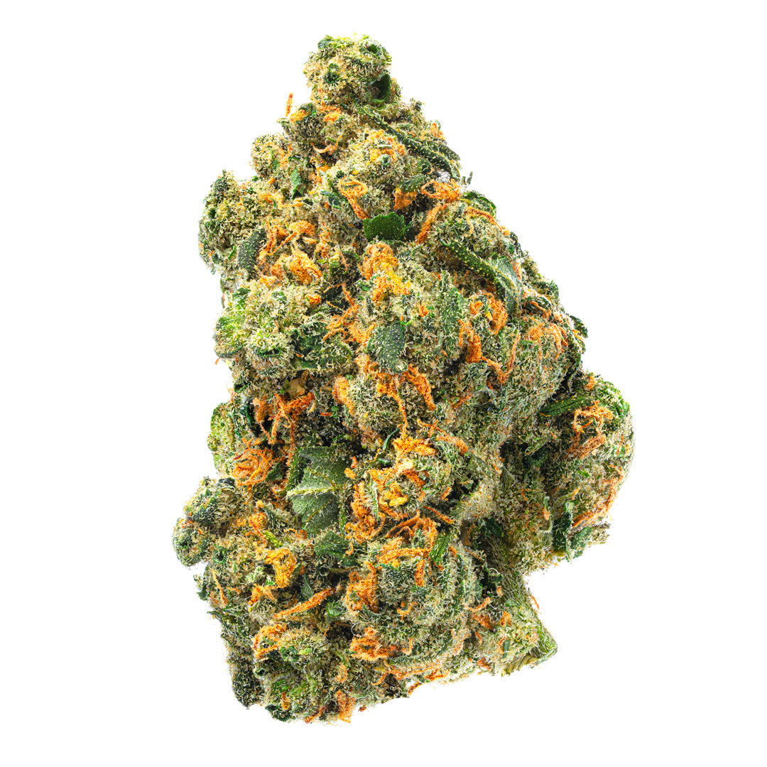 Jack Herer Indoor - 14 Grams - Sativa