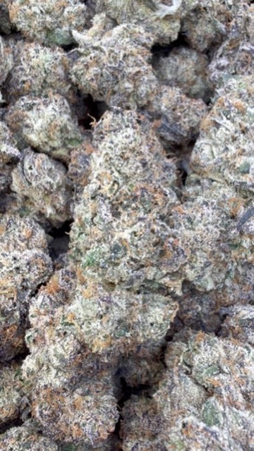 LA Runtz Indoor - Bulk - Hybrid
