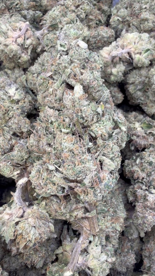 Sherblato - Bulk - Hybrid