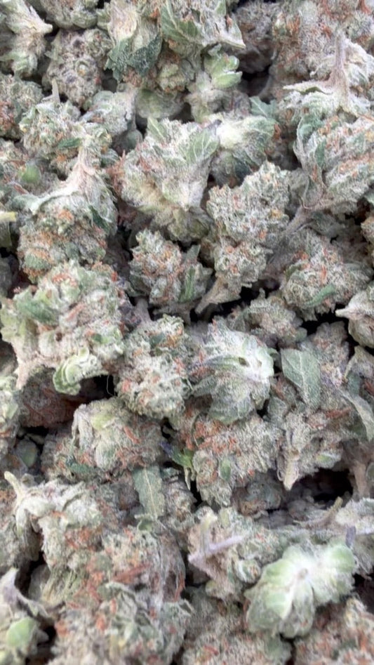 Chocolate Diesel Littles - Bulk Littles - Sativa