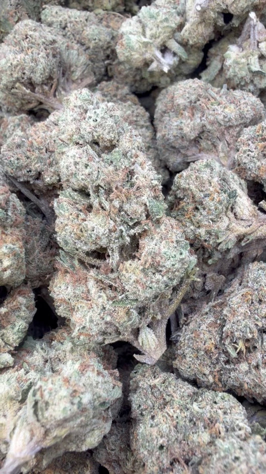 Caramel Apple - Bulk - Hybrid