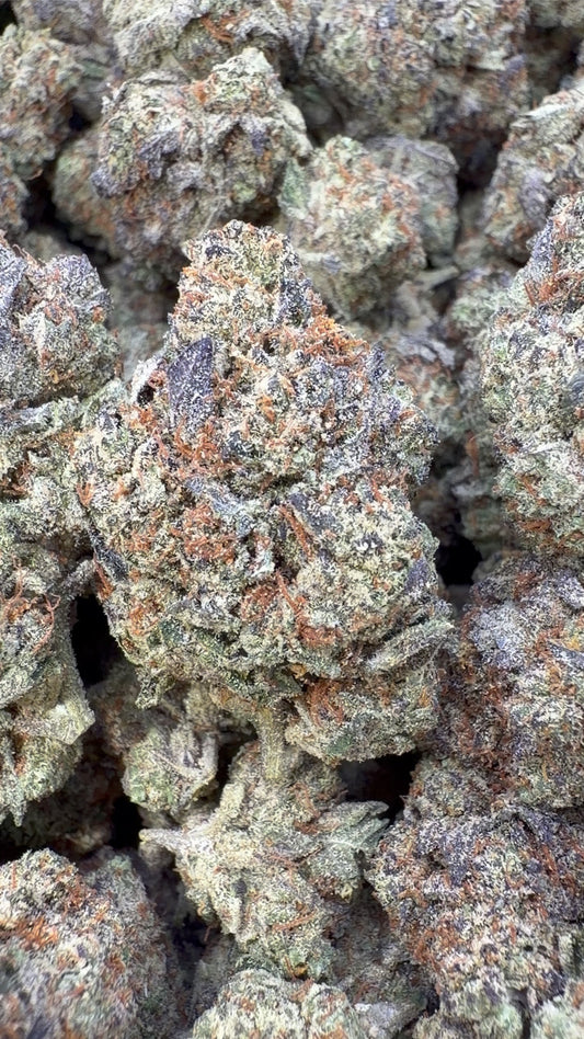 Barneys Biscotti Indoor - Bulk - Indica