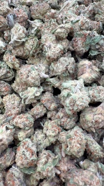 Cookie Fuel Littles - Bulk Littles - Hybrid