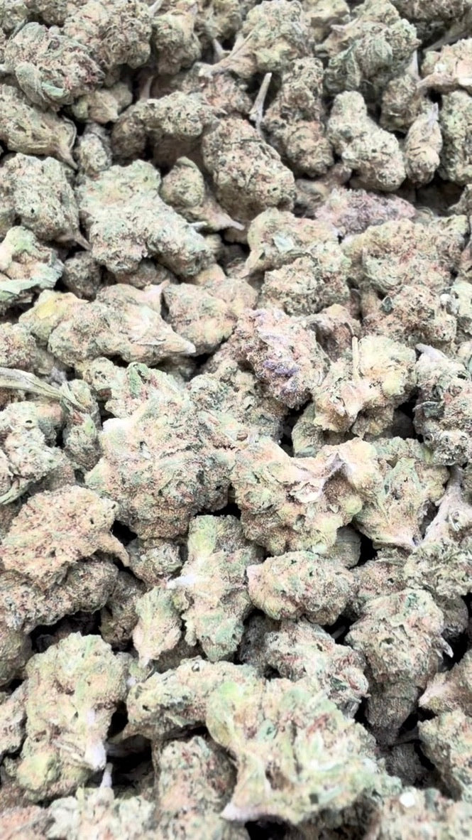 Gumbo Littles - Bulk Littles - Hybrid
