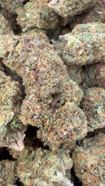 Gastro Bomb - Bulk - Indica
