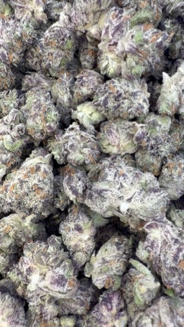 Grape Gas Indoor Littles - Bulk Littles - Hybrid