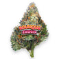 Boutique Exotics Coffin Candy - 4 Grams - Hybrid