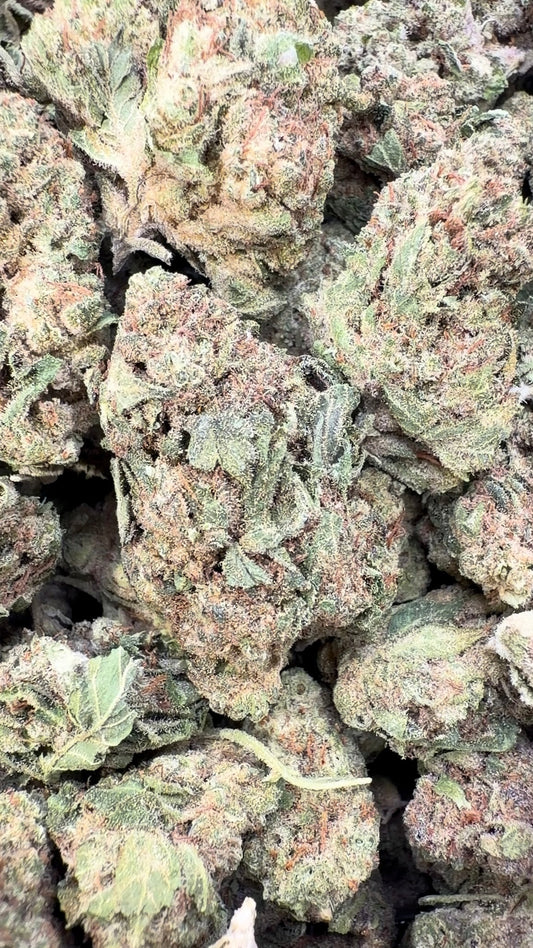 Gelato Cake - Bulk - Hybrid