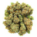 Jack Herer Indoor - 14 Grams - Sativa