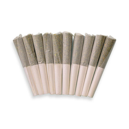 Lemon Cherry Gelato - Pack of Pre-Rolls (10 Pack) - Hybrid