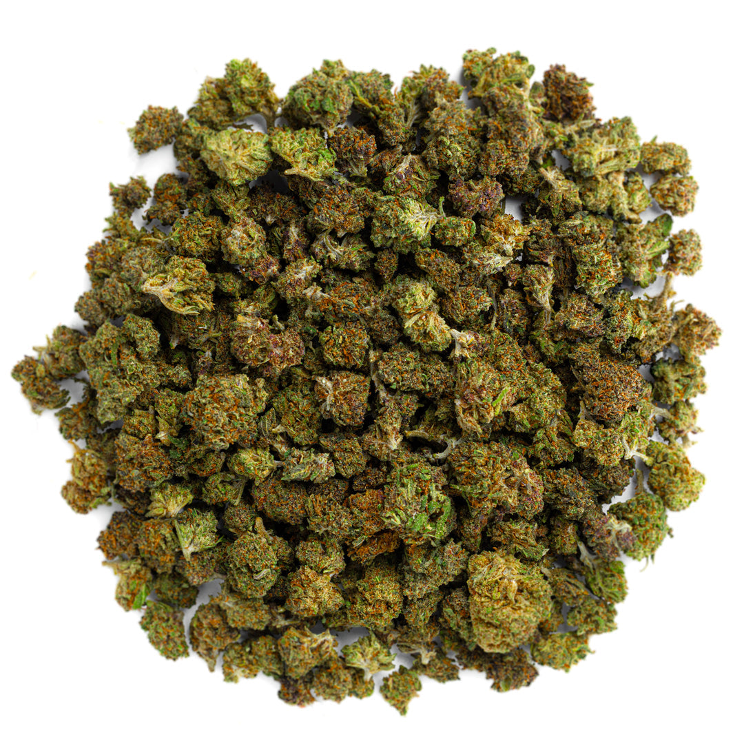 Purple Jack - 28 Grams Littles - Hybrid