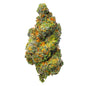 Sherblato - 4 Grams - Hybrid