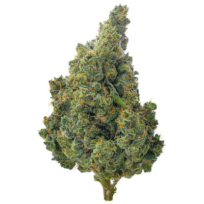 Super Jack Indoor - 14 Grams - Sativa
