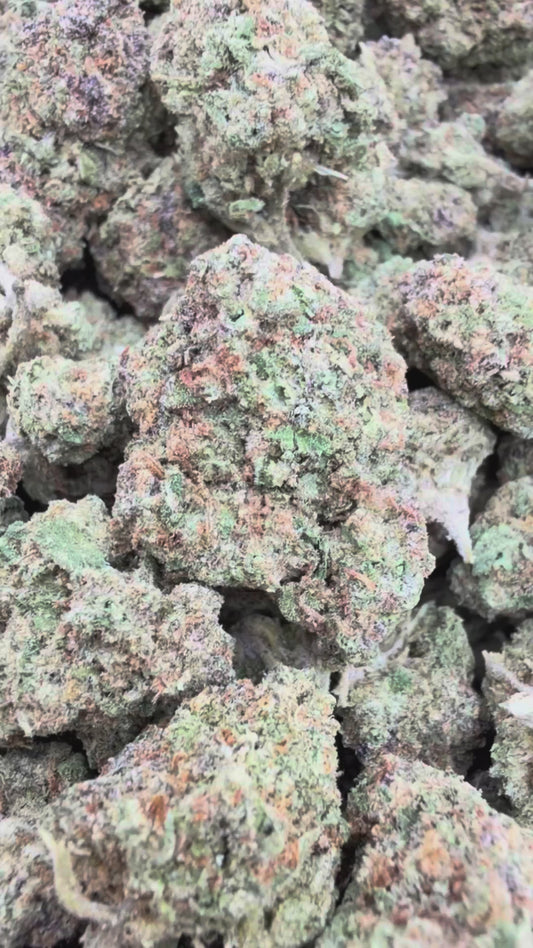 Durban Poison Mediums - Bulk Mediums - Sativa