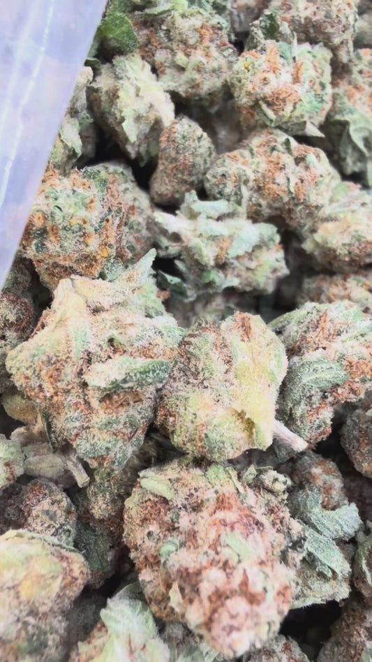 Girl Scout Cookies Littles - Bulk Littles - Hybrid