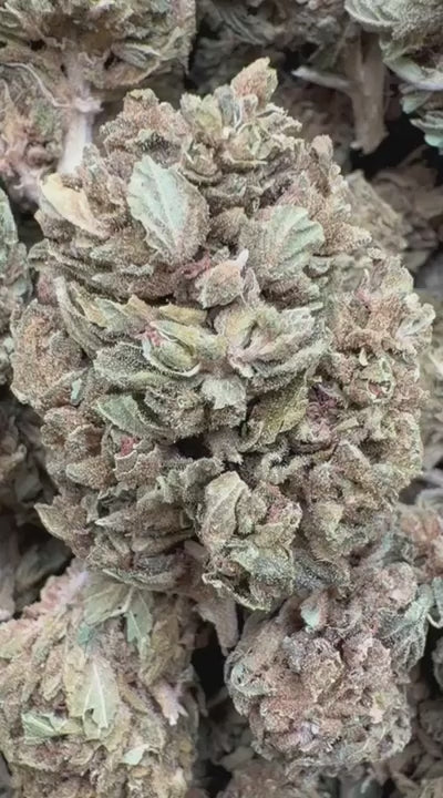 Durban Sweetz - Bulk - Sativa