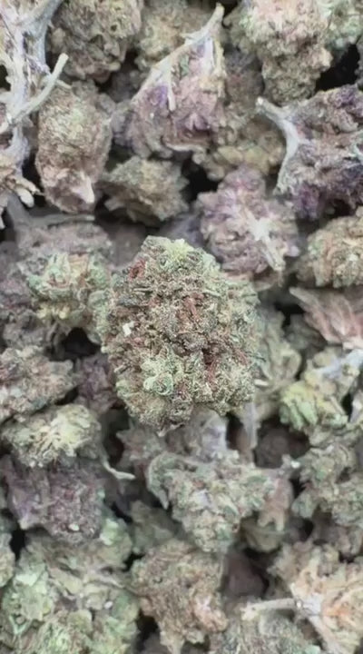 Sour Diesel Littles - Bulk Littles - Sativa