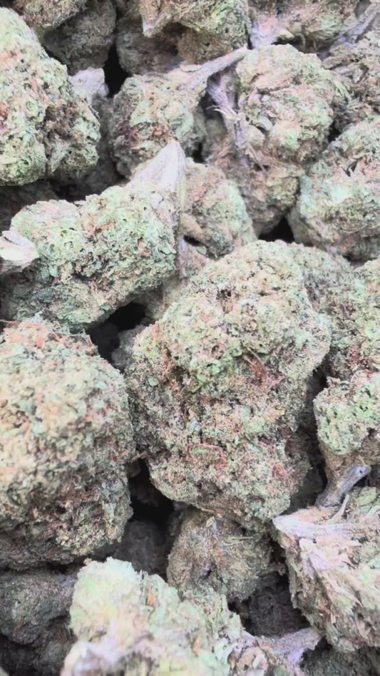 Space Runtz Mediums - Bulk Mediums - Hybrid