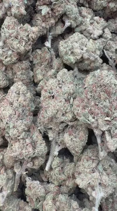 Durban Poison - Bulk - Sativa